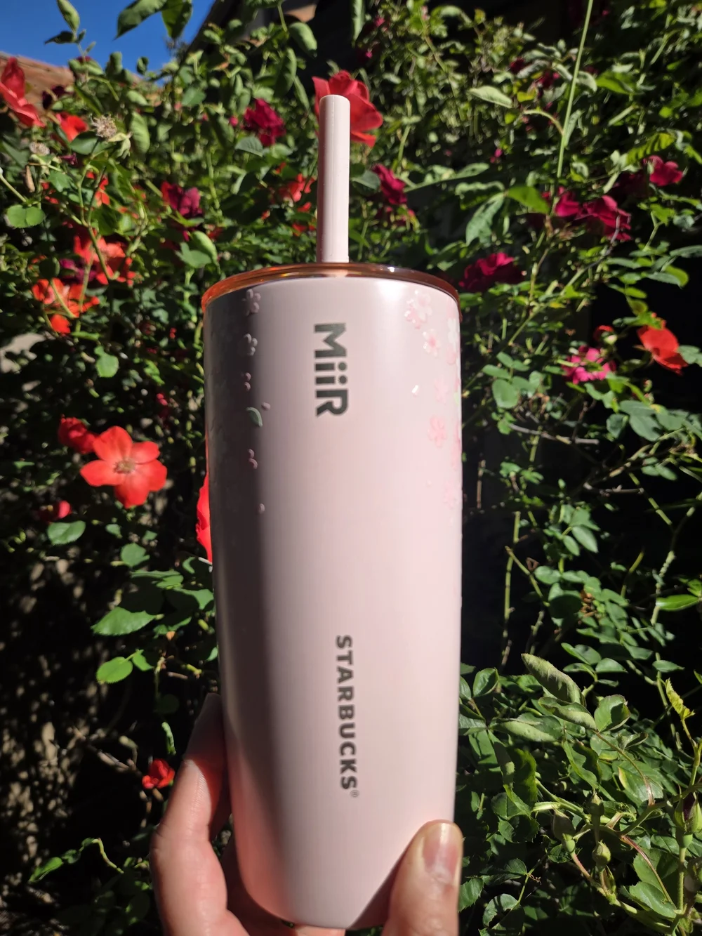 Starbucks Limited Edition Corgi Sakura Cherry Blossom Stainless Steel Tumbler